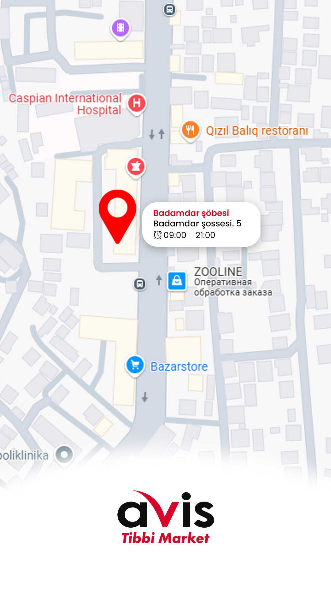 Badamdar