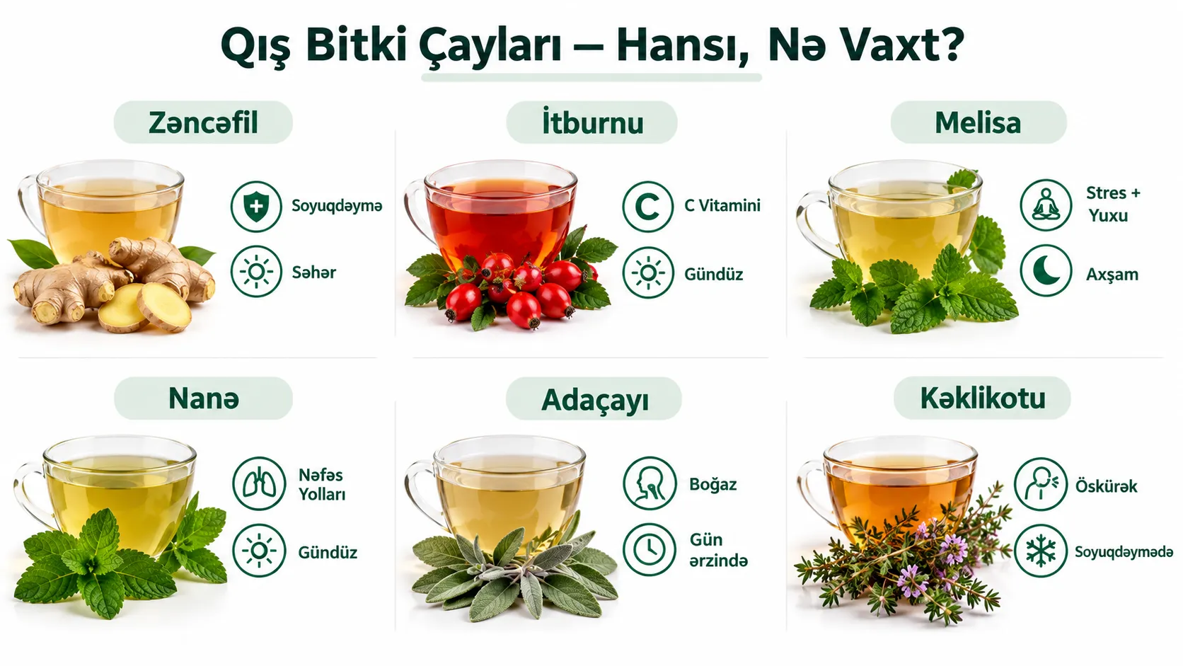 Qış bitki çayları hansı nə vaxt — zəncəfil itburnu melisa nanə adaçayı kəklikotu immunitet