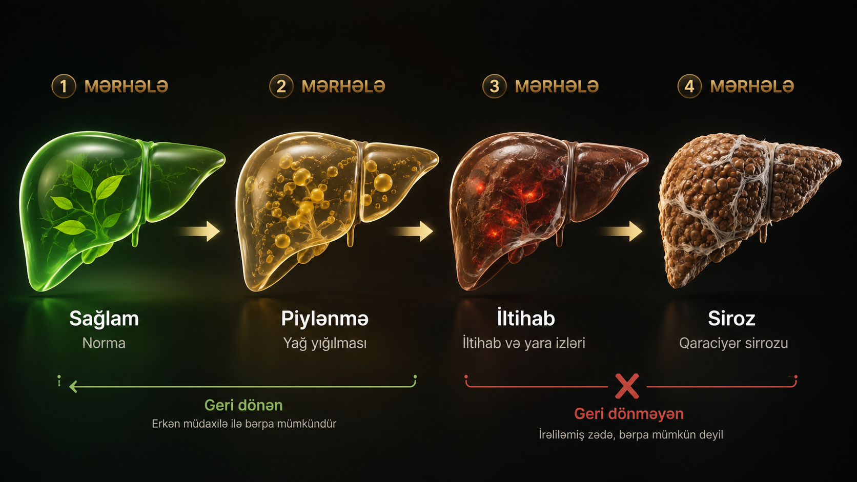 Qaraciyer piylenmesi merheleri — steatoz steatohepatit fibroz siroz sağlam qaraciyer