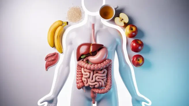Həzm Sistemi: Sağlam Həyatın Əsas Qayəsi