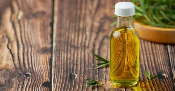 Faydalı Bitki Yağları və Onların Xüsusiyyətləri