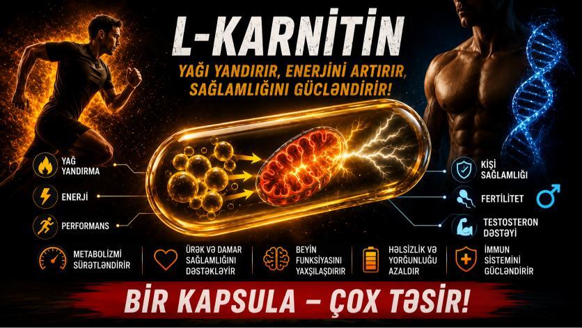 L-Karnitin: Faydalari, Ariqlama, Idman və Kisi Saglamligi