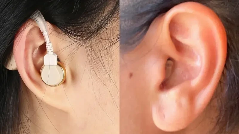 Eşitmə cihazları və Səsgücləndiricilər