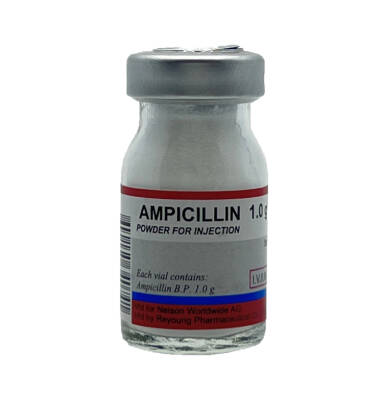 Ampisillin 1 Gr N1 N Flakon - 