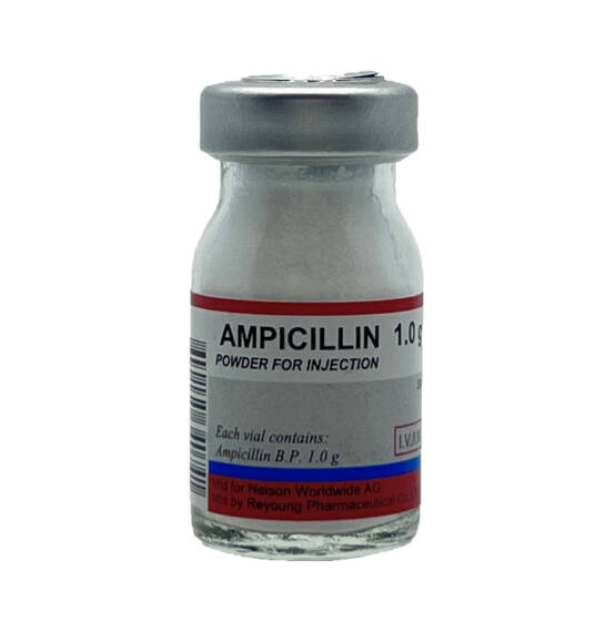 Ampisillin 1 Gr N1 N Flakon - 1