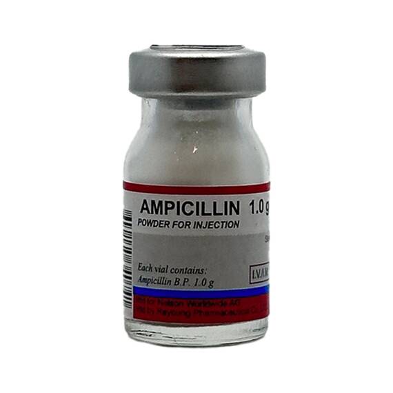 Ampisillin 1 Gr N1 N Flakon - 1