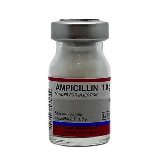 Ampisillin 1 Gr N1 N Flakon - 1