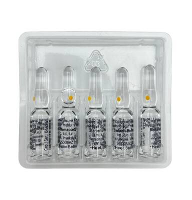 BERBERIS-HOMAKKORD 1,1ML N5 AMP - 