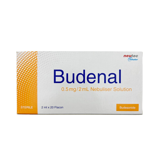 BUDENAL 0,5MG/2ML N20 FLAK - 