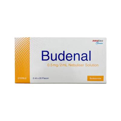 BUDENAL 0,5MG/2ML N20 FLAK - 