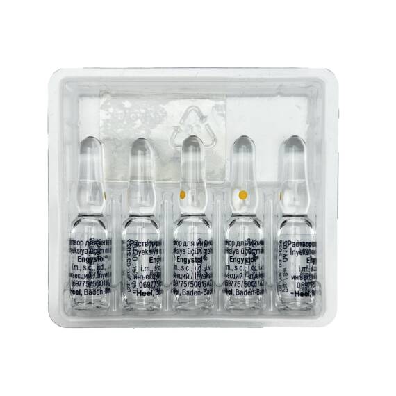 ENGISTOL 1,1ML N5 AMP - 1