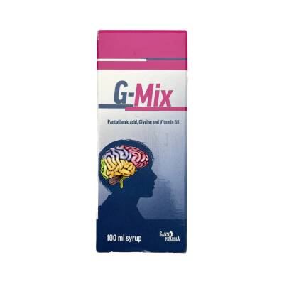 G-MIX 100ML SRP - 