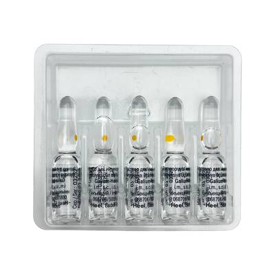GALIUM-HEEL 1,1ML N5 AMP - 
