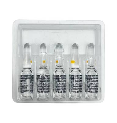 GALIUM-HEEL 1,1ML N5 AMP - 