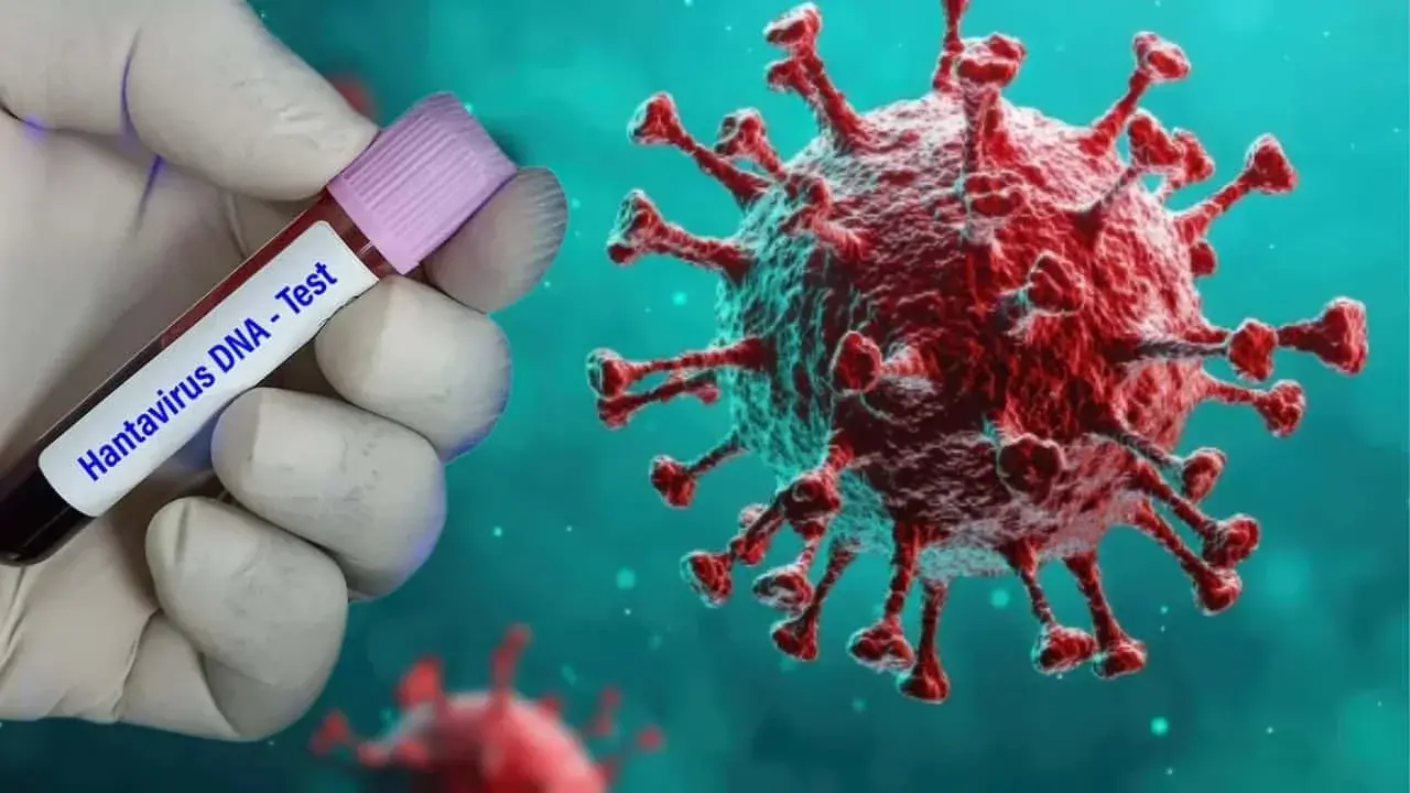 Yeni Bir Pandemiya Təhlükəsi? Hantavirus Nədir, Simptomları və Qorunma Yolları