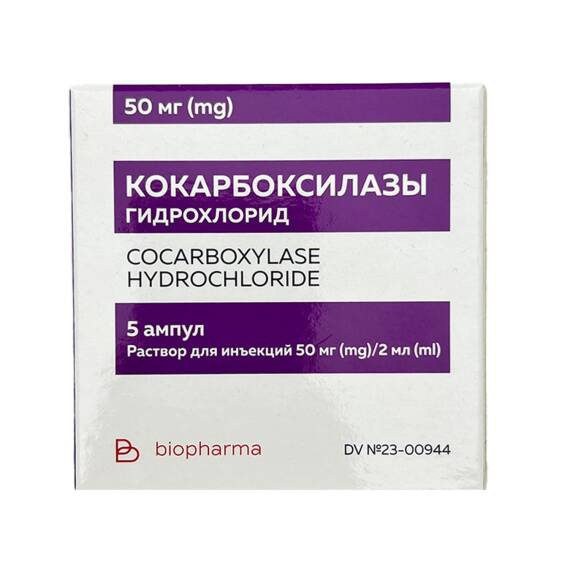 KOKARBOKSILAZA 50MG 2ML N5 AMP (GURCUSTAN) - 1