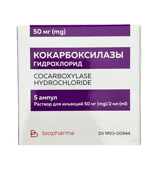 Kokarboksilaza 50 Mg 2 Ml N5 ampula - 1