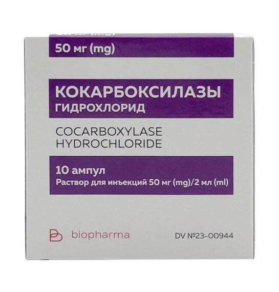 Kokarboksilaza 50 mq 2 ml N10 ampul - 1