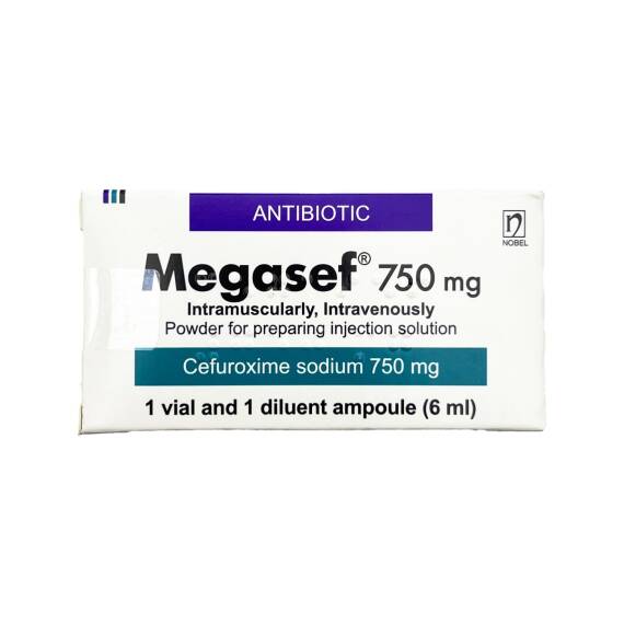MEGASEF 750MG N1 FLK - 1