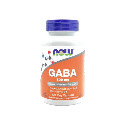 Now Gaba 500MG N100 Tab - NOW