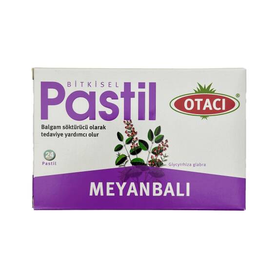 OTACI MEYANBALI N24 PASTIL 4563 - 1