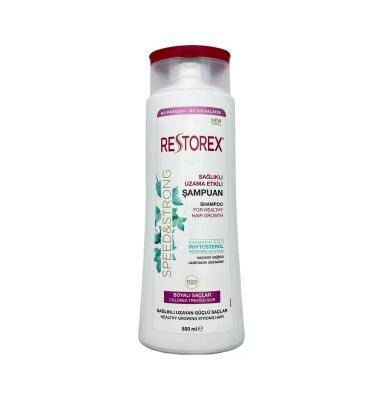 RESTOREX 6484 RENG KORUYUCU BOYALI SACLAR UCUN 500ML - 1