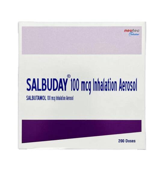 SALBUDAY 100MKG 200DOZ AER - 1