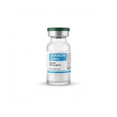 SEFAMEZIN DOBFAR 1000MG N1 FLK
