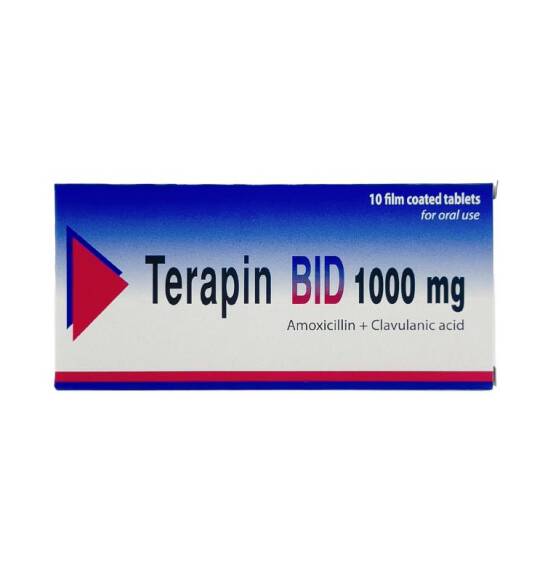 Terapin Bid 1000 mq N10 tablet - 1
