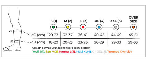 Variteks 910 Diz Altı Anti-Emboliya Corabı - 2