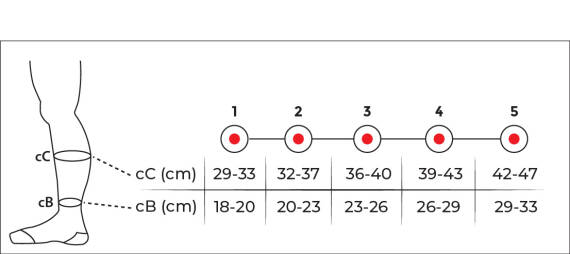 Variteks 920 Kişi Varis Corabı - 2
