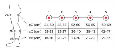 Variteks 931 Dizüstü Varis Corabı - 2