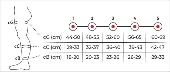 Variteks 931 Dizüstü Varis Corabı - 2