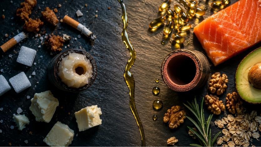 Xolesterol Nedir: HDL, LDL, Trigliserid Ferqi və Müalicə
